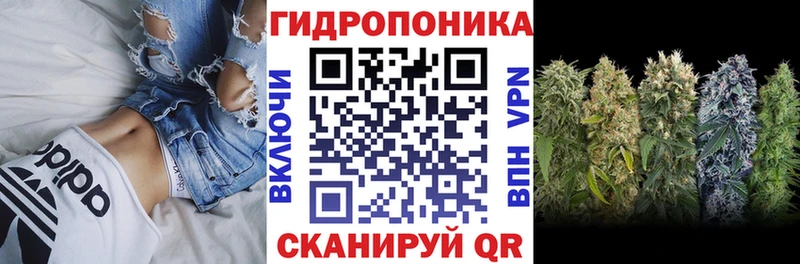МАРИХУАНА план Тимашёвск